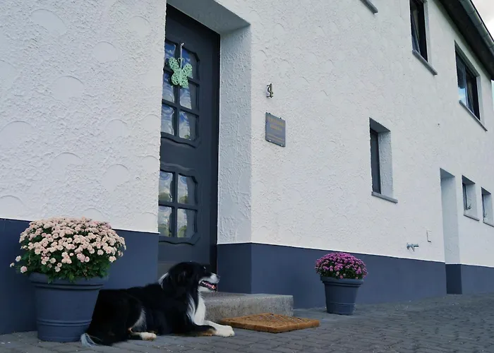 Eifelhome In Germany *